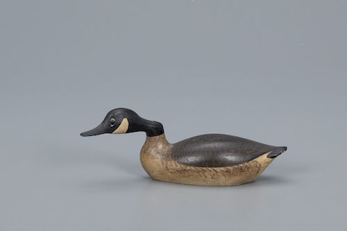 Miniature Hissing Canada Goose, George H. Boyd (1873-1941)