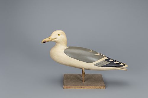 The Wheeler Gull, Charles E. "Shang" Wheeler (1872-1949)