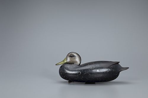 Tucked-Head Black Duck Decoy, William H. Quinn (1915-1969)