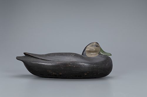 Oversize Tucked-Head Black Duck Decoy, Jess Heisler (1891-1943)