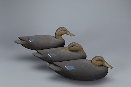 Rig of Three Black Duck Decoys, John McLaughlin (1911-1985)