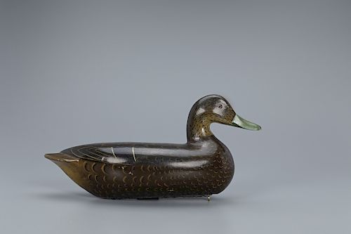 Rare Black Duck Hen Decoy, Charles H. Perdew (1874-1963)