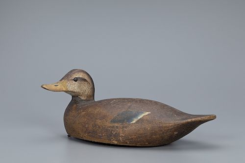 Turned-Head Black Duck Decoy, Lloyd Aaron Sterling (1880-1964) sold at  auction on 25th July | Bidsquare