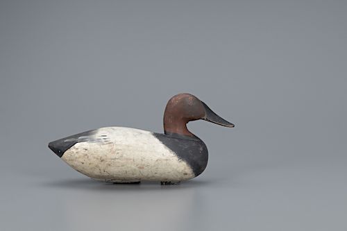 Early Canvasback Drake Decoy, Capt. Harry R. Jobes (1936-2019)