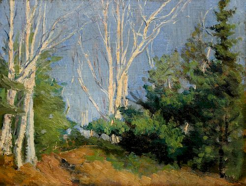 Oil on Artist's Board Impressionist Woodland Landscape "Birch Trees" Attributed to Frank Swift Chase