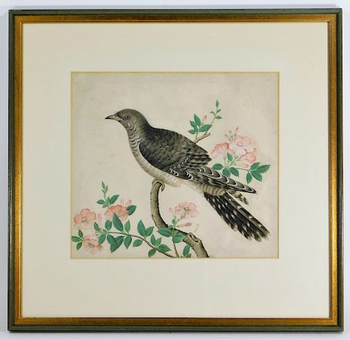 19C English Naturalist Watercolor Painting of Bird