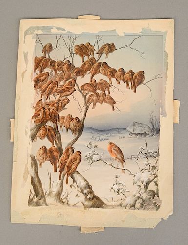 Harry Bright (1846 - 1895), watercolor on paper, Garden Birds in Winter, signed lower left H. Bright 1875, sheet size 9 1/4" x 7".