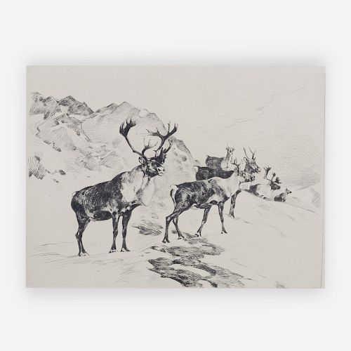Carl Rungius - Osborne's Caribou