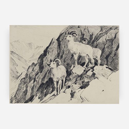 Carl Rungius - Dall's Sheep