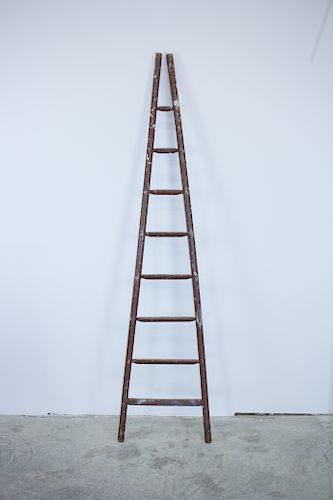 Vintage French Orchard Ladder