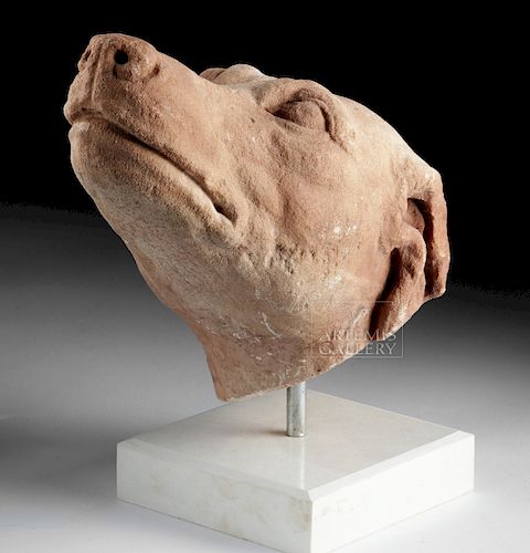 Stunning Roman Marble Head of a Dog
