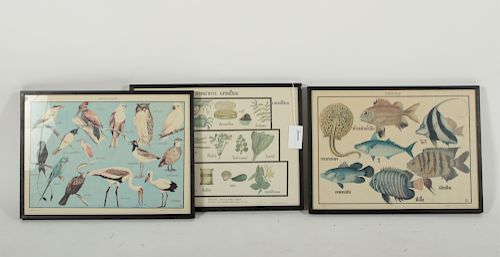 3 Prints of Birds, Plants, & Fish