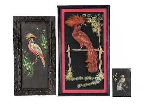 Arte plumario. Aves. Técnica mixta, montados sobre cartón. 40.5 x 20.5 cm.; 34 x 14 cm. Enmarcados, 15x10 cm. Pzs: 3.