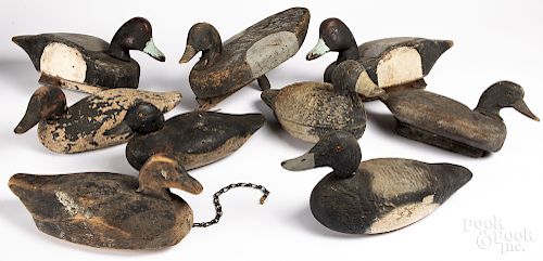 Nine carved and painted duck decoys