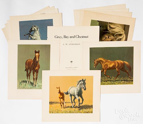 Portfolio of horse prints by C.W. Anderson, etc.