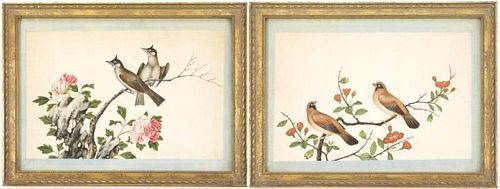 Pair of 19th C. Chinese Pith Paintings, Bird Pairs