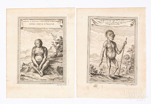 Two Bellin 1746 prints