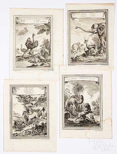 Four Bellin 1746 animal prints