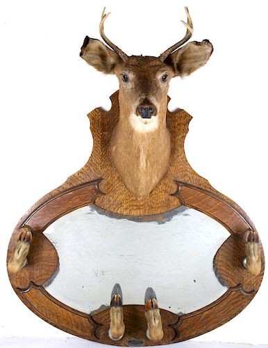 Vincent R Aaron Taxidermy Deer Mount Mirror & Rack