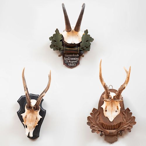 Group of Three Deer Trophies