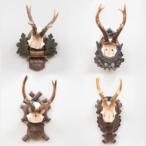 Group of Four Deer Trophies