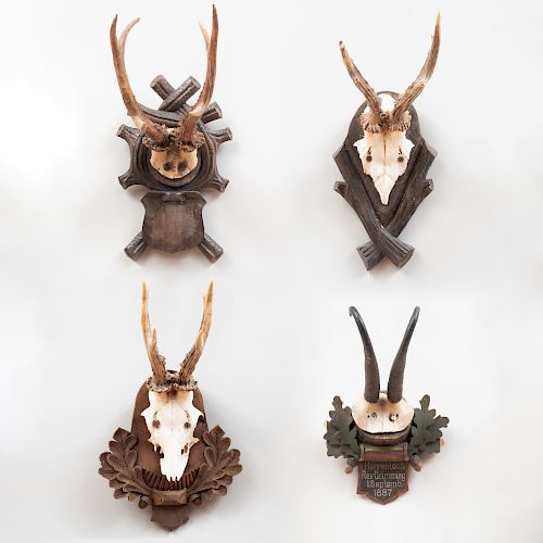 Group of Four Deer Trophies 