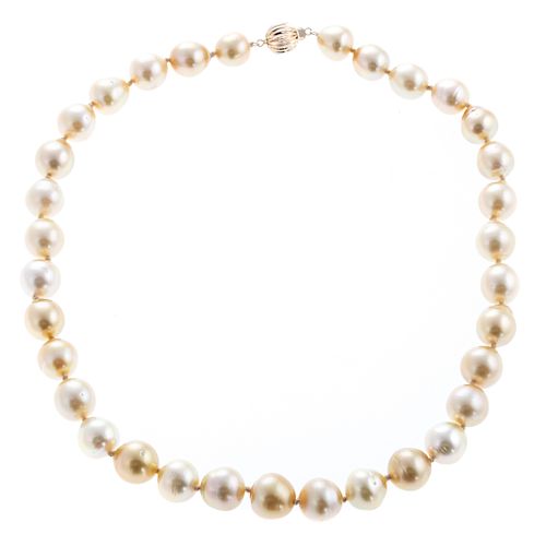 A Ladies Golden South Sea Pearl Necklace with 14K