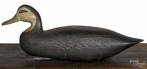 New Jersey carved and painted black duck decoy, mid 20th c., 16 1/2'' l.
