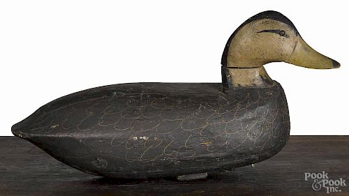 New Jersey carved and painted black duck decoy, mid 20th c., 15 1/2'' l.