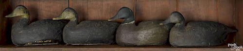 Four New Jersey carved and painted mallard duck decoys, mid 20th c., 15 1/2'' l., 16 1/4'' l.