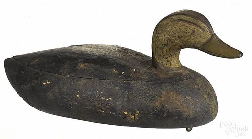 Carved and painted black duck decoy, mid 20th c., probably New Jersey, 17'' l.