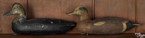 Two New Jersey carved and painted duck decoys, mid 20th c., to include a black duck, 15'' l.