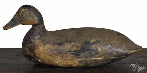 New Jersey carved and painted black duck decoy, early/mid 20th c., 15 1/2'' l.