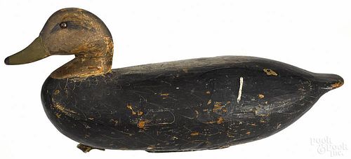 Carved and painted black duck decoy, mid 20th c., 16'' l.
