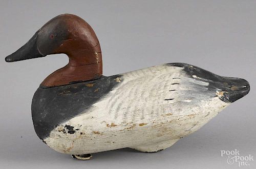 Upper Chesapeake Bay carved and painted canvasback duck decoy, mid 20th c.