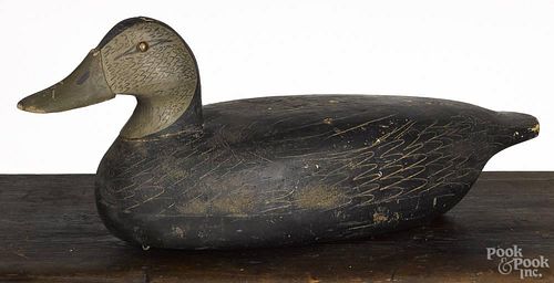 New Jersey carved and painted black duck decoy, mid 20th c., stamped Vespertino, 18 1/2'' l.
