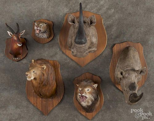 Six Louis Paul Jonas Studios composition sculptures of game animal heads, to include two rhinoceros