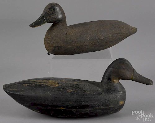 Two New Jersey carved and painted black duck decoy, mid 20th c., 15'' l.