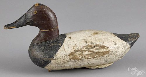 Chesapeake Bay carved and painted canvasback duck decoy, mid 20th c., 14 1/2'' l.