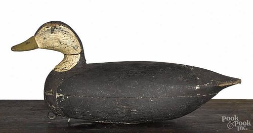 New Jersey carved and painted black duck decoy, mid 20th c., 17 1/4'' l.
