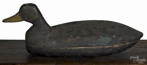 New Jersey carved and painted black duck decoy, mid 20th c., 17 1/2'' l.