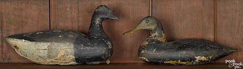 Two New Jersey carved and painted duck decoys, early 20th c., to include a brant, 15 1/2'' l.