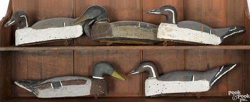 Five carved and painted duck decoys, mid 20th c., to include pintails and a mallard, longest - 20''