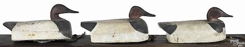 Three Columbia, Pennsylvania carved and painted canvasback duck decoys, mid 20th c.