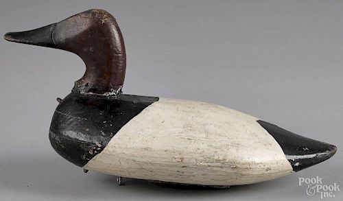 Maryland carved and painted canvasback duck decoy, ca. 1940, attributed to Taylor Boyd, 15 1/2'' l.