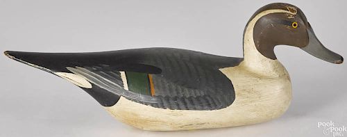 Carved and painted pintail duck decoy, branded H, 18'' l.