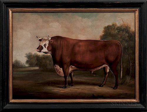American School, 20th Century  Portrait of a Bull