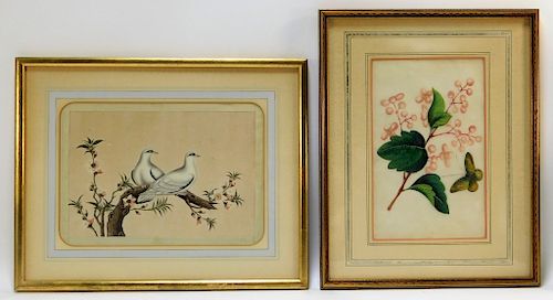 2PC 19C Chinese Botanical Avian Pith Paintings