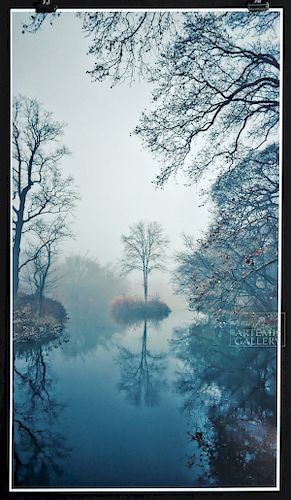 Andrew White Photograph "Single Tree Fog" 2015