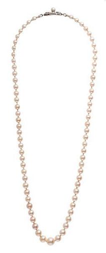 Mikimoto Tapered Princess Pearl Necklace 